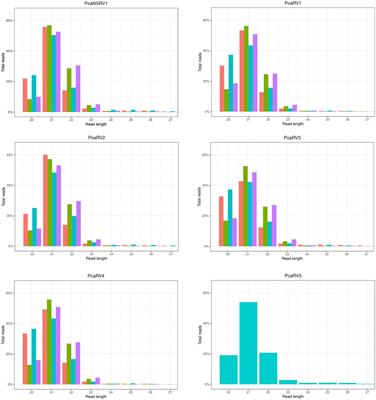 High Diversity of Novel Viruses in the Tree Pathogen Phytophthora castaneae Revealed by High-Throughput Sequencing of Total and Small RNA